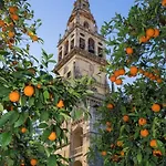 Rincon De San Nicolas * Κόρδοβα