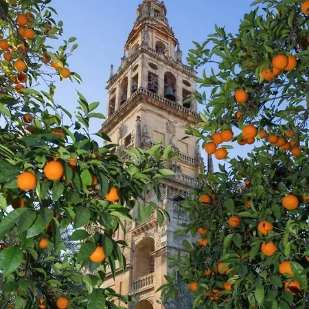 Rincon De San Nicolas * Cordoba