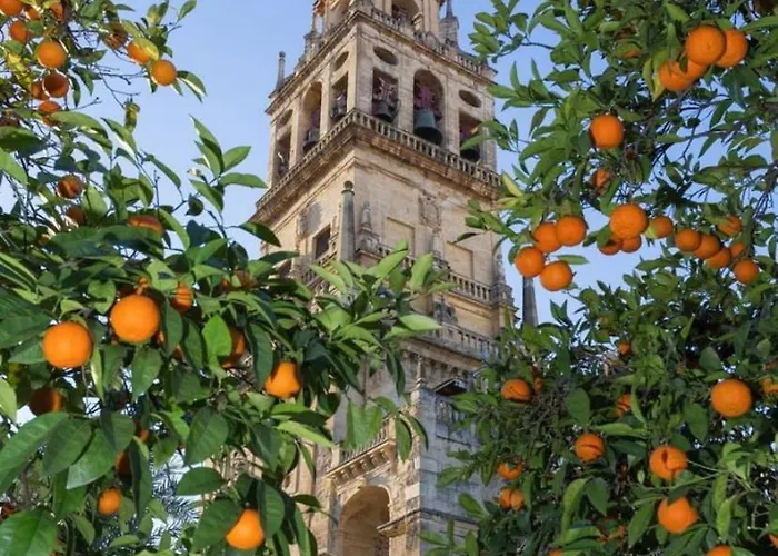 Rincon De San Nicolas * Córdoba